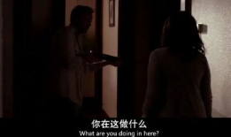 成年人黄视频,揭秘成年人黄视频背后的真相与影响